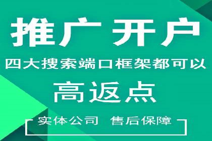 SEM运营公司成功案例分享