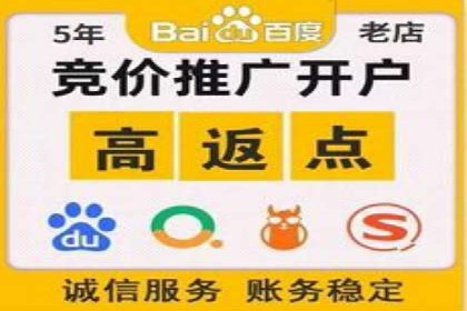 案例研究：SEM代运营服务公司的创新策略